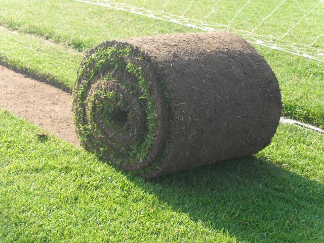 Futbol Sahası Çimlendirme